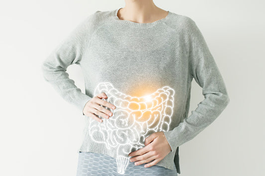 The Vital Role of Gut Health in Your Overall Wellbeing