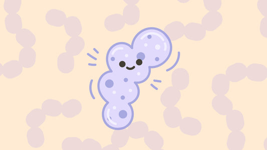 What are Prebiotics and how do they affect your microbiome?