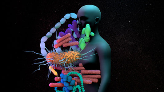 Boosting Your Microbiome: Understanding Microbiome Diversity